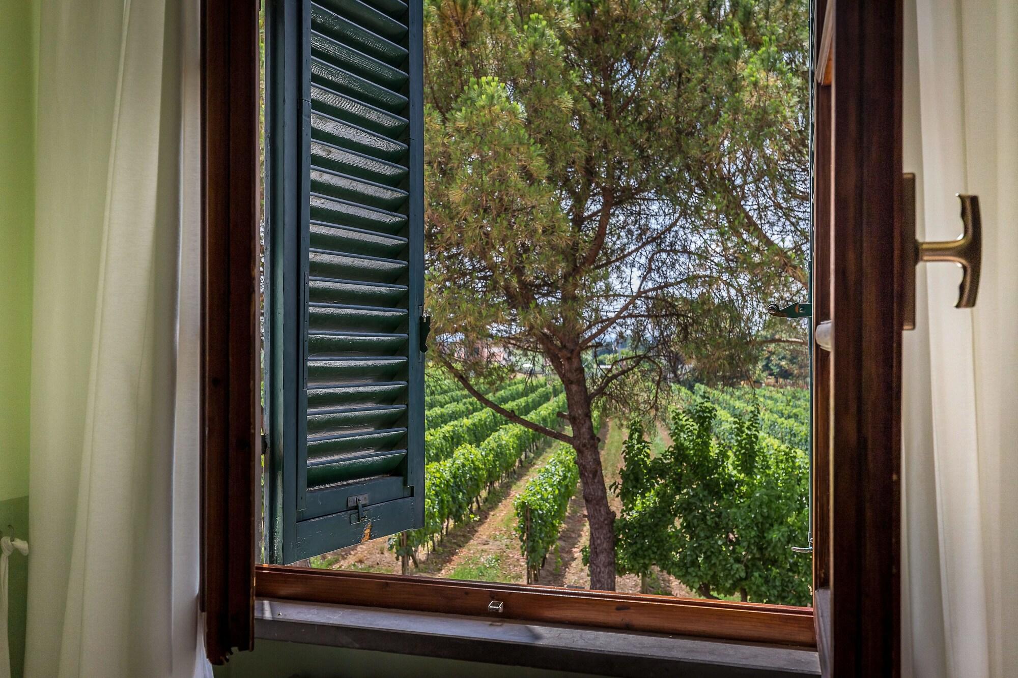 Il Fornello Bed & Breakfast Altopascio